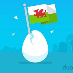 welsh-is-one-of-the-most-popular-languages-on-duolingo-says-company-boss