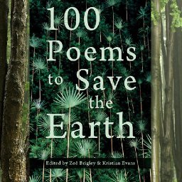 review-100-poems-to-save-the-earth-is-a-timely-collection-with-many-poems-which-lodge-like-limpets-in-the-mind
