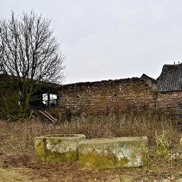 back-to-nature-gaynor-funnell-charts-the-natural-rewilding-of-a-derelict-farmyard
