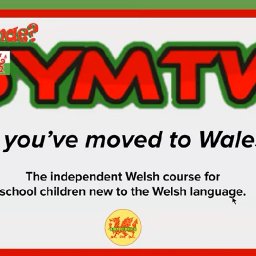 so-youve-moved-to-wales-series-aims-to-stop-pupils-developing-negative-attitude-to-welsh