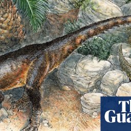 scientists-discover-welsh-dragon-dinosaur-the-size-of-a-chicken