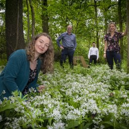 magical-secret-forest-in-the-middle-of-welsh-industrial-estate-opened-up-to-the-public