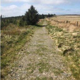 roman-golden-road-with-earlier-stonehenge-links-discovered-in-pembrokeshire