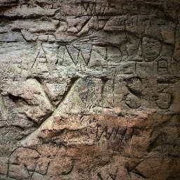 tawny-clark-goes-on-a-rainforest-adventure-to-find-twm-sion-cati