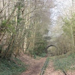 plans-revealed-to-use-disused-railway-line-as-new-walking-and-cycling-route
