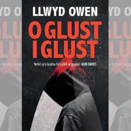 review-o-glust-i-glust-by-llwyd-owen