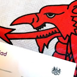 first-2021-census-results-to-be-published-for-wales