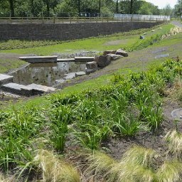 call-to-reward-farmers-for-reducing-the-amount-of-pollution-run-off-into-welsh-rivers