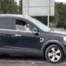 watch-hilarious-video-of-welsh-pop-stars-dog-sounding-their-car-horn