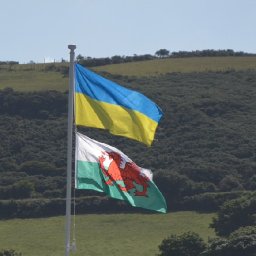 watch-the-heart-warming-effort-to-use-the-welsh-language-to-help-ukrainians-settle-in-wales
