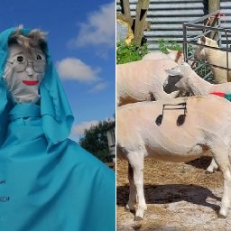 the-hilarious-decorations-set-up-to-welcome-visitors-to-the-national-eisteddfod-in-ceredigion