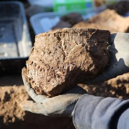 bronze-age-settlement-discovery-could-offer-clues-on-the-origins-of-cardiff