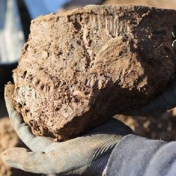 cardiffs-earliest-house-uncovered-during-archaeological-dig