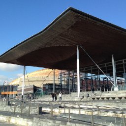 senedd-launches-first-ever-petition-of-the-year-competition