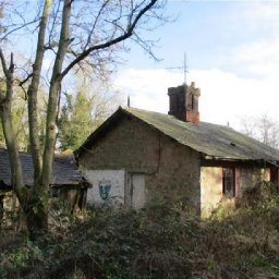 the-secret-history-of-the-remote-woodland-cottage-that-has-stood-empty-for-25-years