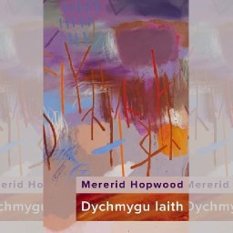 review-dychmygu-iaith-by-mererid-hopwood