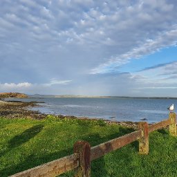 campaigners-celebrate-as-under-threat-park-wins-top-award