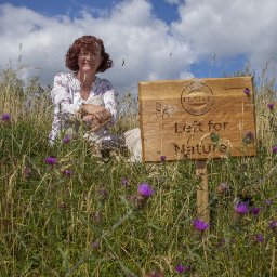 company-creates-stunning-secret-meadow-in-the-middle-of-an-industrial-estate