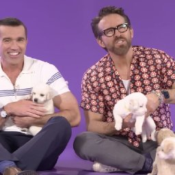 watch-rob-mcelhenney-ryan-reynolds-interviewed-surrounded-by-puppies