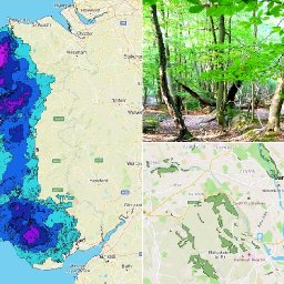 incredible-new-interactive-map-reveals-the-location-of-the-wales-lost-rainforests-check-out-your-own-area