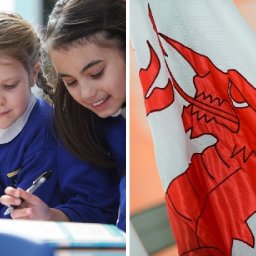 fall-in-welsh-speakers-no-surprise-but-not-inevitable-if-action-is-taken-say-language-activists