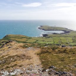 the-top-picks-of-22-our-writers-select-their-cultural-highlights-of-the-year