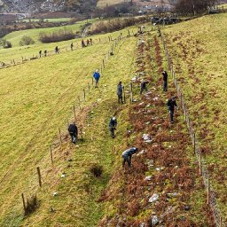 3-km-hedgerow-super-highway-created-for-wildlife-in-eryri