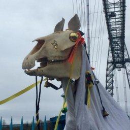 mari-lwyd-will-return-for-traditional-walk-through-the-newport-city-centre