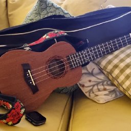 del-hughes-beats-the-new-year-blues-with-her-christmas-ukulele