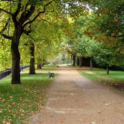 tripadvisor-reviewers-rank-cardiff-the-top-running-destination-in-the-uk