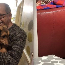 why-sophie-from-romania-is-the-feel-good-story-we-all-need-right-now