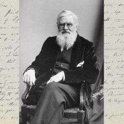 lets-celebrate-a-great-welsh-scientist-alfred-russel-wallace