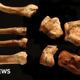 red-lady-of-paviland-should-remains-come-back-to-wales