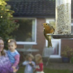 people-of-wales-called-upon-to-take-part-in-worlds-largest-wildlife-survey