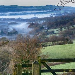 the-huge-effort-to-tempt-people-back-to-welsh-language-strongholds