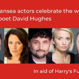 celebration-of-swansea-poet-raises-money-for-harrys-fund