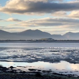 letter-from-the-foryd-estuary