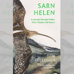 review-sarn-helen-by-tom-bullough