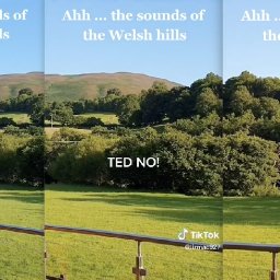 watch-the-hilarious-sheep-dog-and-farmer-video-that-has-gone-viral