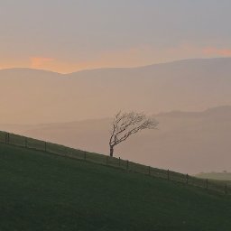 letter-from-tal-y-wern