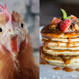 thrashing-a-chicken-and-kicking-cans-the-welsh-traditions-of-dydd-mawrth-ynyd