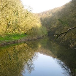 dwr-cymru-slammed-for-west-wales-river-pollution