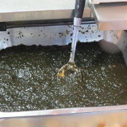 welsh-food-stories-weeds-of-the-future