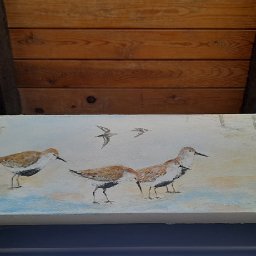 artist-creates-loo-with-a-view-to-protect-wildlife