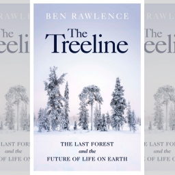 top-journalism-award-for-welsh-writer