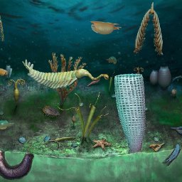 one-of-the-worlds-greatest-fossil-finds-made-in-wales