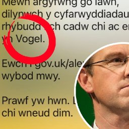 north-wales-ms-raises-issue-with-recent-uk-govt-welsh-language-blunders