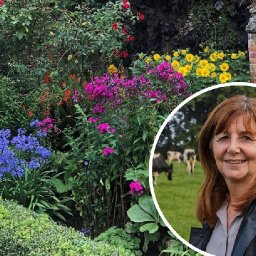 people-of-wales-encouraged-to-protect-plants-and-trees