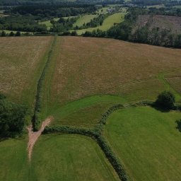 metal-detectorists-stumble-on-1600-year-old-treasure-and-find-forgotten-roman-site