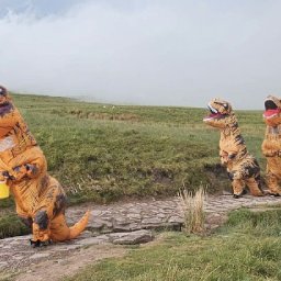 watch-the-hilarious-videos-of-dinosaurs-climbing-pen-y-fan